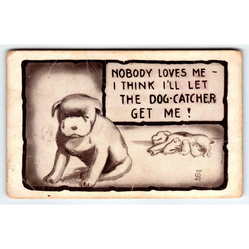 Nobody Loves Me I Think I'll Let The Dog Catcher Get Me Sad Dog Postcard HIR